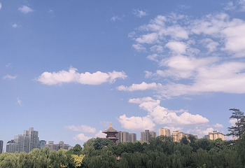 兴庆宫公园第 159 张图片