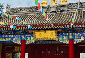 广仁寺第 75 张图片