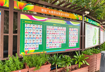 兴隆热带植物园第 48 张图片