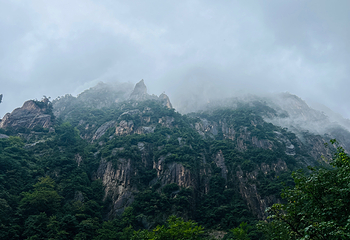 黄山风景区第 220 张图片