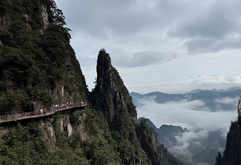 莽山五指峰景区第 86 张图片