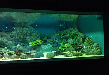 浅虫水族馆第 13 张图片