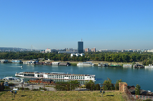 Sava, Belgrade