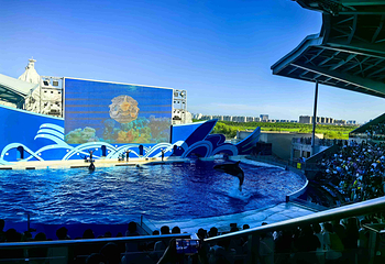 上海海昌海洋公园第 251 张图片