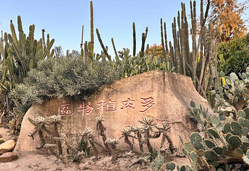 厦门园林植物园第 48 张图片