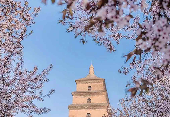 大慈恩寺第 13 张图片