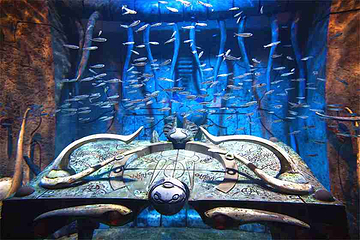 迪拜“失落的世界”水族馆第 21 张图片