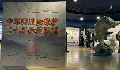 北京海洋馆第 79 张图片