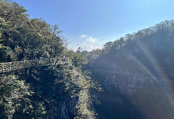 天门山国家森林公园第 746 张图片