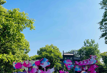 西溪国家湿地公园第 183 张图片