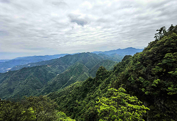 大瑶山盘王界景区第 27 张图片