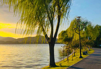 石湖景区第 72 张图片