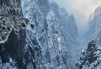 黄山风景区第 244 张图片