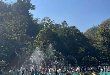 西双版纳原始森林公园第 30 张图片