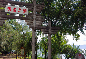 明星鱼洞第 35 张图片