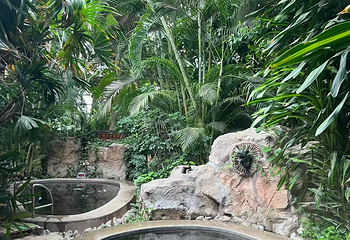 龙熙温泉水世界第 31 张图片