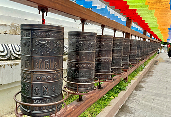 九寨沟风景区第 376 张图片
