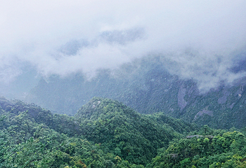 三清山风景区第 90 张图片