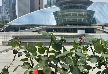 钱江新城第 28 张图片
