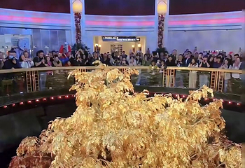 永利澳门吉祥树第 42 张图片