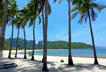 小东海第 73 张图片
