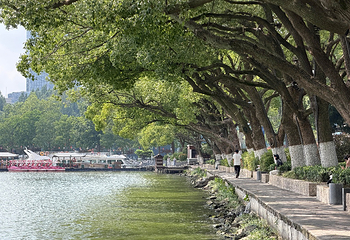 玄武湖景区第 95 张图片