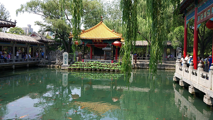 趵突泉景区第 160 张图片