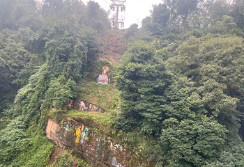 青城山第 314 张图片