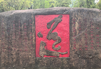 龙虎山风景名胜区第 166 张图片