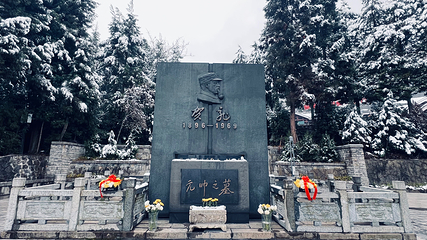 张家界国家森林公园第 92 张图片