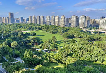 重庆中央公园第 8 张图片