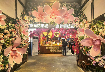 宽窄巷子第 99 张图片