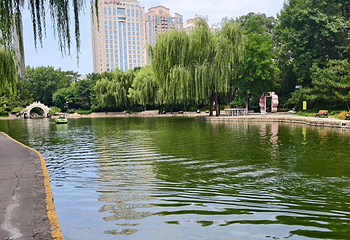 团结湖公园第 44 张图片