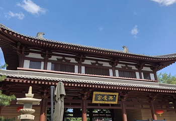 兴庆宫公园第 100 张图片