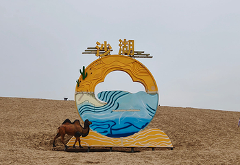 沙湖生态旅游区第 91 张图片