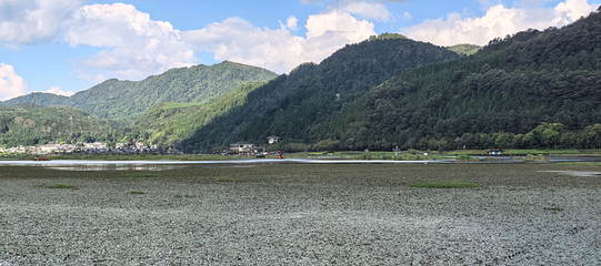 北海湿地第 147 张图片