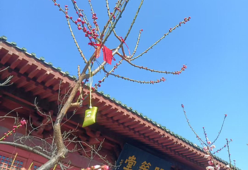 开封府第 173 张图片