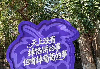 葡萄沟第 61 张图片