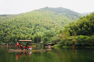 天目湖南山竹海第 104 张图片