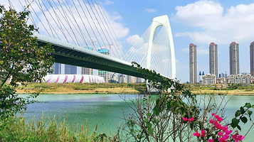 青山大桥观景台