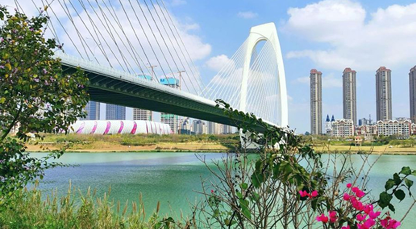 青山大桥观景台