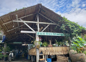 宝盛园榴莲庄园