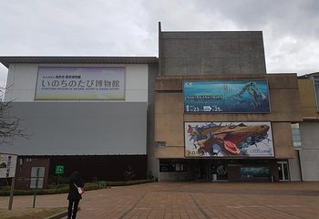 Kitakyushu Museum of Natural History & Human History第 16 张图片