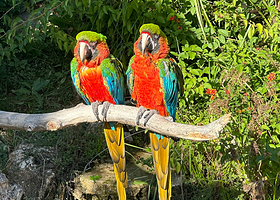 Zoa Parc Animalier et Botanique