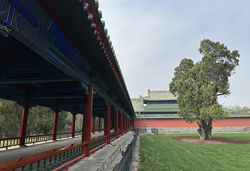 天坛公园第 68 张图片