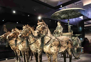 秦始皇帝陵博物院(兵马俑)第 409 张图片