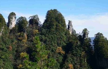 光雾山旅游景区第 101 张图片
