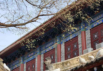 大兴善寺第 55 张图片