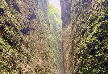 鹤峰屏山旅游景区第 40 张图片