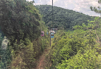 普洱茶马古道遗址公园第 103 张图片